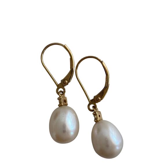 Real Pear Dangle Earrings with 14K Gold Lever Clasp Post - Picture 1 of 3